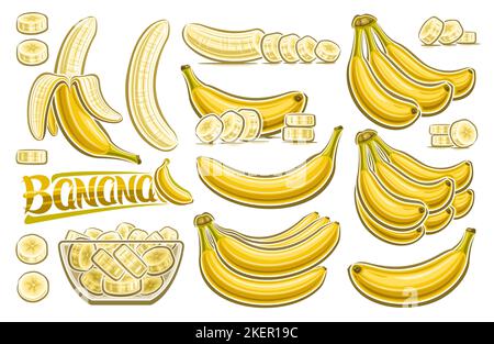 Vector Banana Set, horizontal poster with lot collection of cut out illustrations fruit still life, chopped bananas in transparent dish, group of many Stock Vector