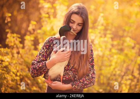 girl and Indian runner duck Stock Photo