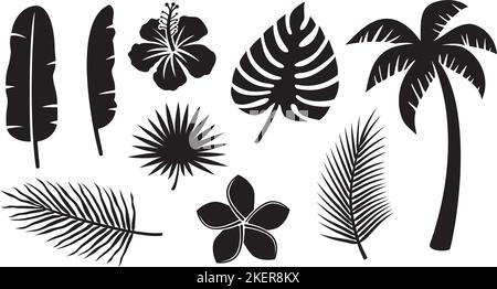 Tropical Plants Icons Collection (Hibiscus, Banana Leaf, Palm Tree,  Monstera, Frangipani Flower). Vector Illustration. Stock Vector