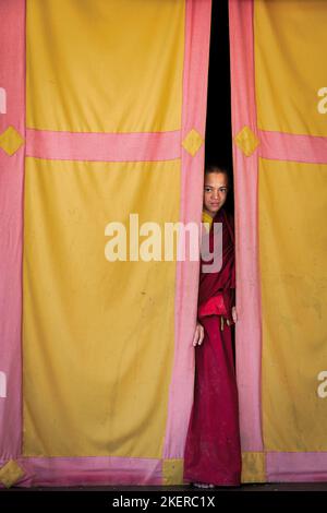 Young monk looking out from behind a curtain, Amitabha Monastery, Kathmandu Valley, Kathmandu, Nepal Stock Photo