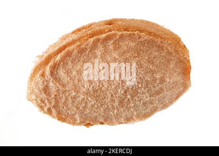 Prunus domestica ssp syriaca, Mirabelle plum, Mirabelle, close up, stone (pit) Stock Photo