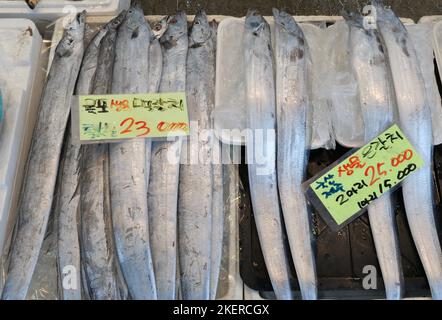 Long silver fish displayed for sale in South Korean market Stock Photo