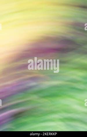Colorful blurry background, Mix of colors in motion Stock Photo
