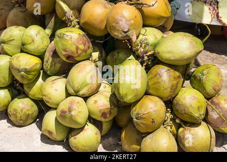Green coconuts for coconut milk drinks at Hierve el Agua, Mexico. Stock Photo