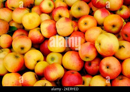 elstar apples background pattern Stock Photo