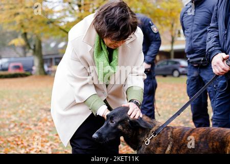 Eutin, Germany. 14th Nov, 2022. Schleswig-Holstein Interior Minister Sabine Sütterlin-Waack (CDU) strokes a German shepherd dog on the grounds of the Police Directorate for Education and Training. The 9-month-old animal is one of three drug-sniffing dogs that will be deployed in correctional facilities in Schleswig-Holstein after their training. Credit: Frank Molter/dpa/Alamy Live News Stock Photo