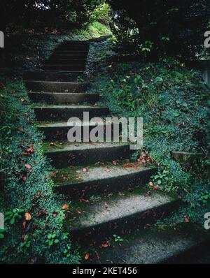 Moss-covered old stone stairs in a green park. Staircase leading up among green grass and trees. Stock Photo
