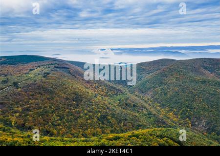 Panoramic view of the mountains covered with forests in the autumn aura. Autumn over the mountains with a thick morning fog in the background. A windi Stock Photo