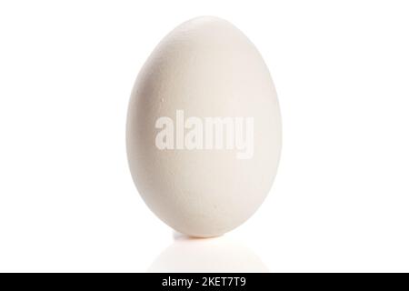 A single white egg on a white background Stock Photo