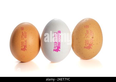 A white egg inbetween two brown eggs all stamped with the British red lion food safety mark Stock Photo