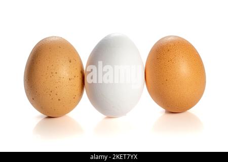 A white egg inbetween two brown eggs Stock Photo