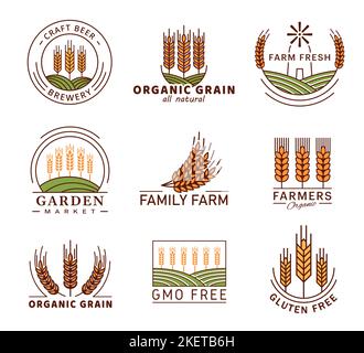 Cereal icons of wheat ear spike, barley or rye millet, vector agriculture farm emblems. Organic garden market and gluten free or GMO free labels for bread or cereal products and beer brewery Stock Vector