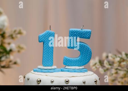 Party cake, 15 year old birthday cake, fifteen years old, Art Print |  Barewalls Posters & Prints | bwc72439725