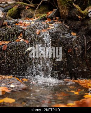 Waterfall and fallen oak leaves Stock Photo - Alamy