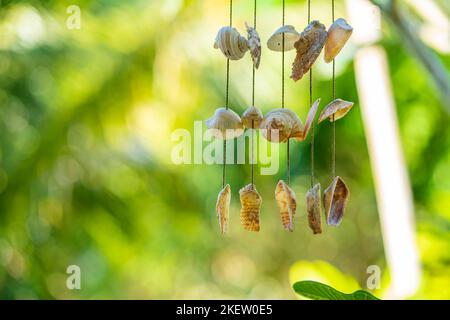 The doorbell is made from shells. Seashells on a rope. Stock Photo