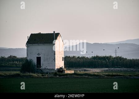 old house in the middle of the field next to the high voltage towers and flock of storks flying, albufera natural park valencia, spain Stock Photo