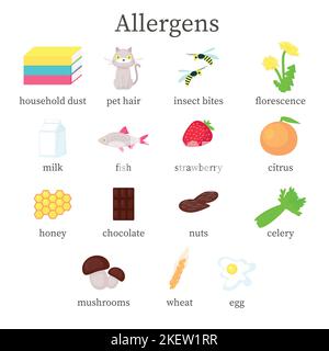 Allergens set, vector flat isolated illustration. Allergenic foods, animal allergens, dust, plant pollen common allergens that cause allergic reaction Stock Vector