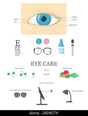 Human eye diagram, ophthalmic eye care infographic, vector flat isolated illustration. Ophthalmologist tools, contact lenses, eyeglasses, food for hea Stock Vector