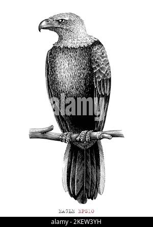 Eagle hand draw vintage engraving style Stock Vector