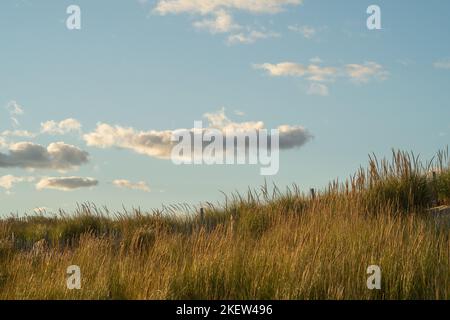 blue skies with white clouds during sunset over the dunes on the beach. Stock Photo