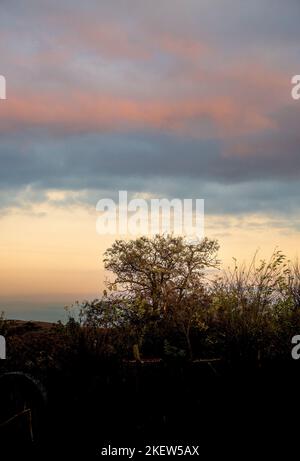 Bulgaria Malomirovo 14th November 2022 : Mother nature colours , sunset ...