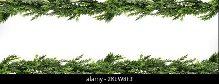 Christmas frame with snow-covered branches of fir-pine, with cones, isolated on white background. Christmas and New Year concept. Banner Stock Photo