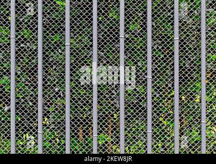 Iron bars and wire mesh background on garden Stock Photo
