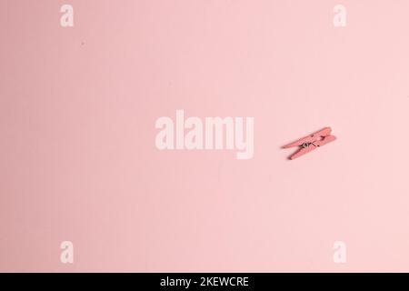 Pink clothespin on a pastel pink background Stock Photo