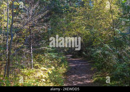 Traveler's Rest State Park, near Missoula, Montana is the only campsite in the nation confirmed to be a stop by the famous Lewis and Clark expedition. Stock Photo