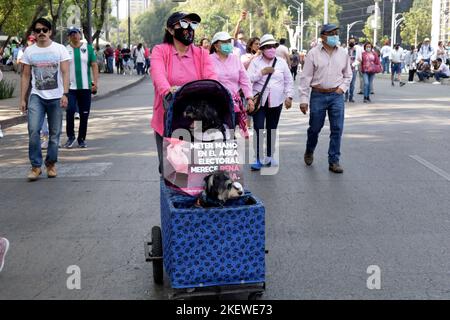 Mexico City, Mexico. 12th Nov, 2022. November 13, 2022, Mexico City, Mexico: Thousands of citizens Take part during a demonstration Against Mexican President Lopez Obrador Electoral Reform at Reforma Avenue. on November 13, 2022 in Mexico City, Mexico. (Photo by Luis Barron/Eyepix Group/Sipa USA). Credit: Sipa USA/Ģ����ý Live News Stock Photo