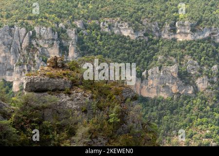 Gorges du Tarn in Cevennes National Park. Le Rozier, massif central, France. Stock Photo