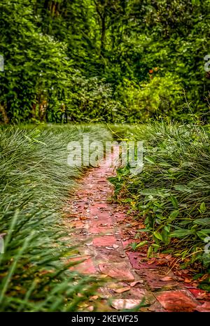grassy pathway leading to nowhere Stock Photo