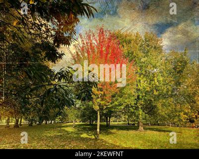 Autumnal London. Green Park. Creative digital artwork with distressed filter. Stock Photo