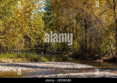 Traveler's Rest State Park, near Missoula, Montana is the only campsite in the nation confirmed to be a stop by the famous Lewis and Clark expedition. Stock Photo