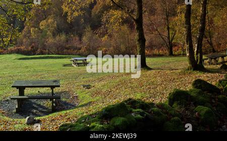Picnic area at Tyn Llwyn in autumn Gwydyr Forest Park Betwys Y Coed Snowdonia National Park Gwynedd North Wales UK, Late Spring. Stock Photo