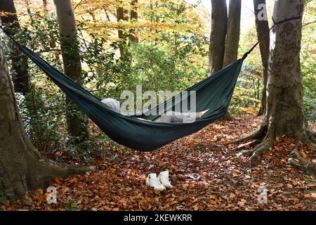 Man relaxing in hammock fastened to trees in woodland, Britain, Uk Stock Photo