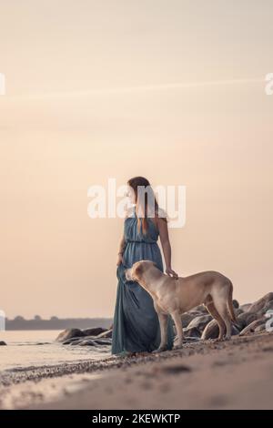 Labrador-Retriever-Mongel at sunset Stock Photo