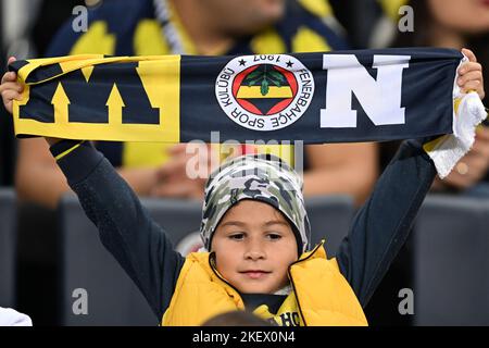 ISTANBUL - Fenerbahce supporter during the Turkish Super Lig match between Fenerbahce AS and Demir Grup Sivasspor at Ulker Stadium on November 7, 2022 in Istanbul, Turkey. ANP | Dutch Height | GERRIT FROM COLOGNE Stock Photo