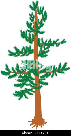 Green pine icon isometric vector. Freestanding evergreen coniferous tree icon. Plant, nature, flora, environment Stock Vector