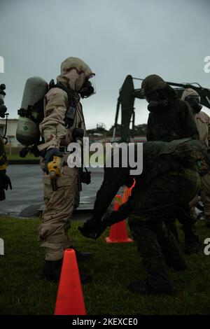 A member of the 102nd nuclear, biological, chemical company, Japan ...