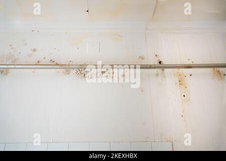 View of a wall and pipe with water seeping into the wall causing damage and peeling paint Stock Photo