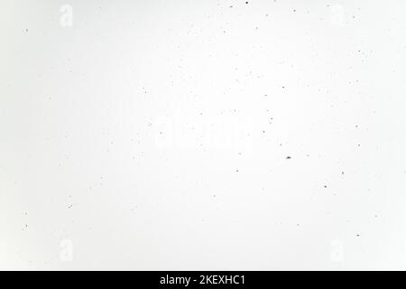 Background of a textured white concrete wall Stock Photo