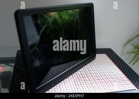 Electronic picture frame is standing on a side table with the screen turned off and reflecting a house plant Stock Photo