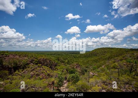 Monsoon forest also called closed forests, are open or partially deciduous forest of tropical regions that develops in areas with alternating seasons Stock Photo