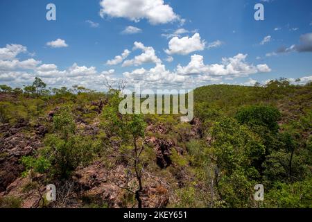 Monsoon forest also called closed forests, are open or partially deciduous forest of tropical regions that develops in areas with alternating seasons Stock Photo