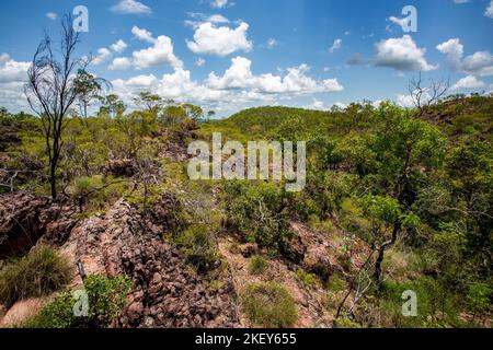 Monsoon forest also called closed forests, are open or partially deciduous forest of tropical regions that develops in areas with alternating seasons Stock Photo