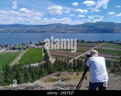 Active senior Caucasian white man taking photograph of the landscape scenic view overlooking the vineyards and farmland in Okanagan Lake, West Kelowna Stock Photo