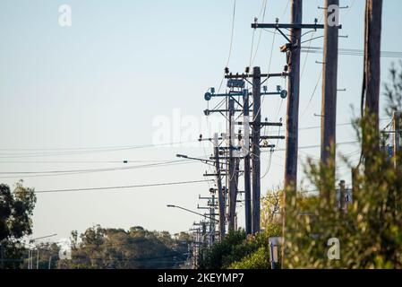 A row or line of electricity power lines and timber power poles near Narrabri in New South Wales, Australia Stock Photo