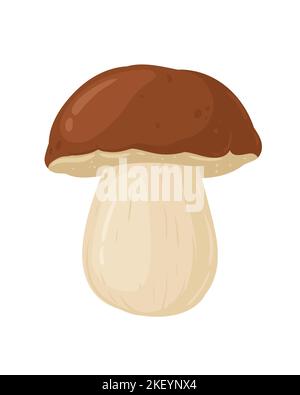 Cartoon white mushroom, boletus edulis. Seasonal organic food, autumn forest plants. Mushroom flat vector illustration. Stock Vector