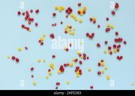 Red and yellow colored candy nerds sprinkled on a blue background. Stock Photo